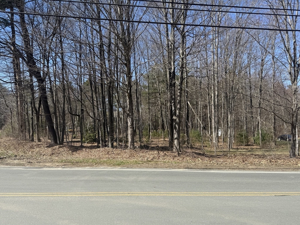 87 East Street Southampton, MA 01073 - Photo 3 of 4 a view of a backyard of a house