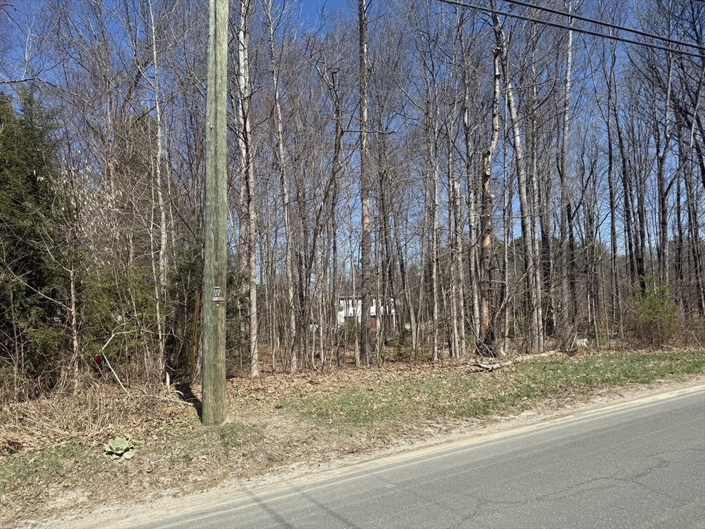 87 East Street Southampton, MA 01073 - Photo 4 of 4 a view of a backyard with pathway
