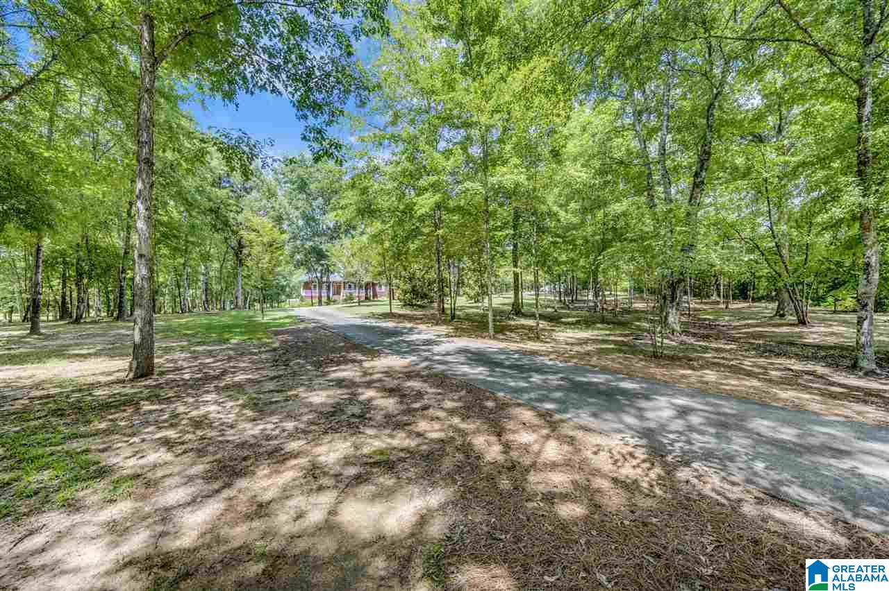 1030 Beaver Ridge Circle Ashville, AL 35953 - Photo 42 of 42