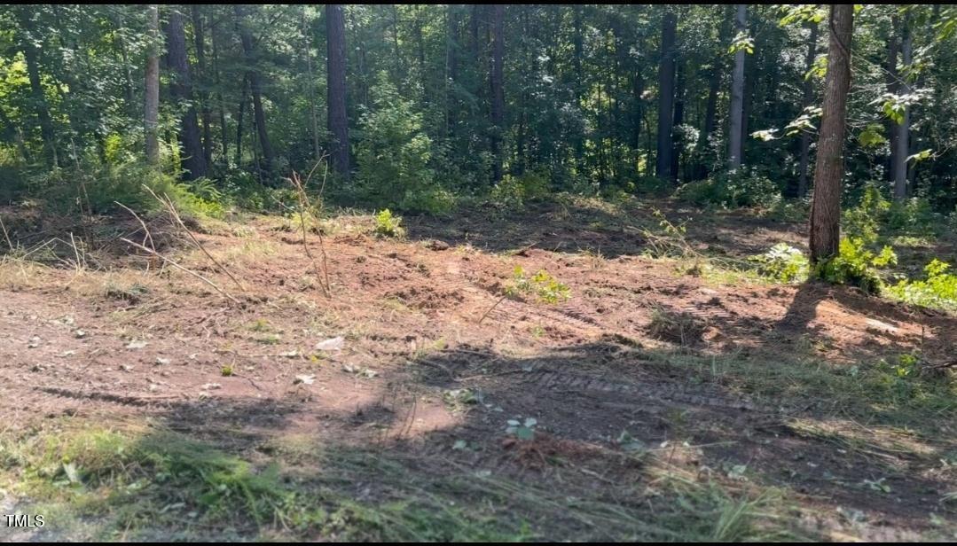 Lot 24 Turtle Hill Roxboro, NC 27573 - Photo 1 of 3 a view of a yard with plants and trees