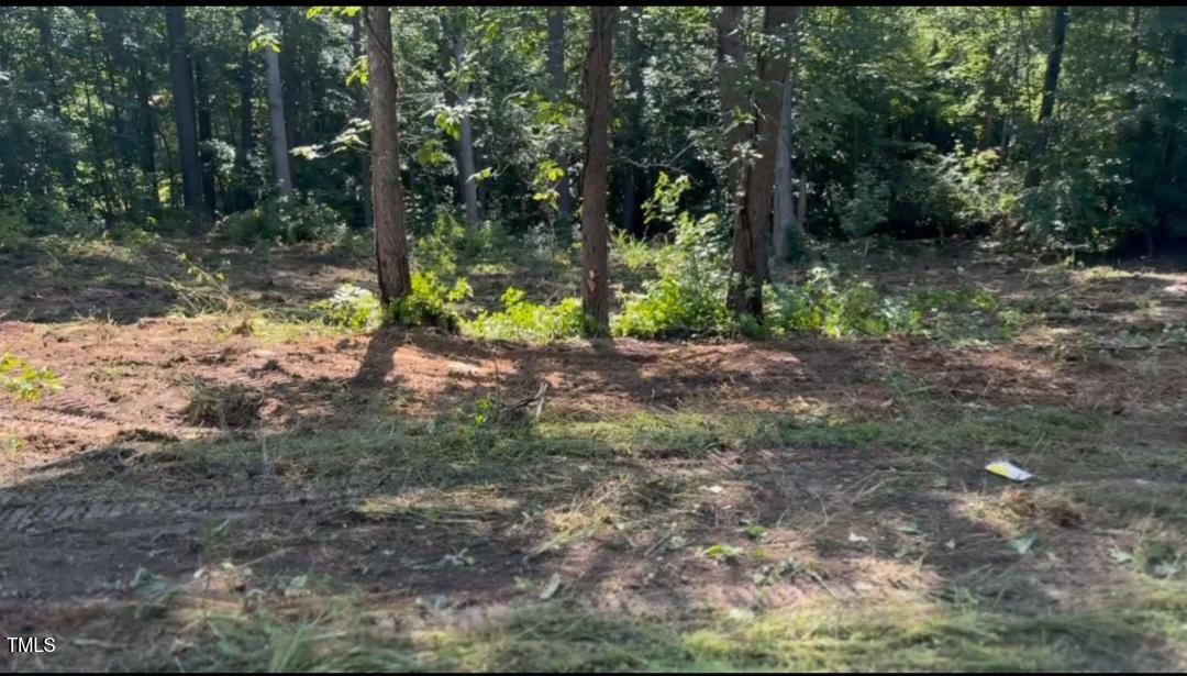 Lot 24 Turtle Hill Roxboro, NC 27573 - Photo 2 of 3 a backyard of a house with lots of green space