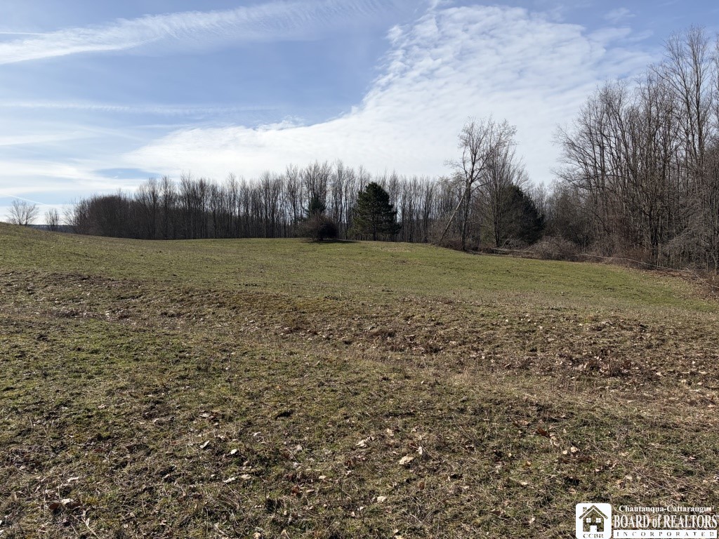 1784 Emory Hill Road Frewsburg, NY 14738 - Photo 5 of 34