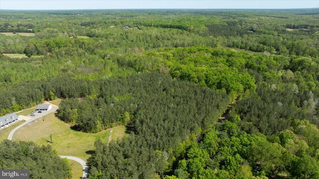 a view of a lush green forest with trees and some houses