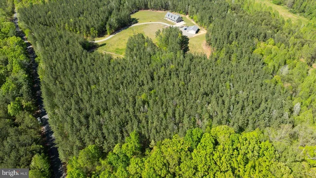 a close up of a plant in a garden