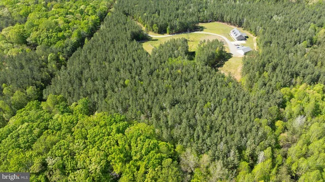 a close up of a plant in a garden