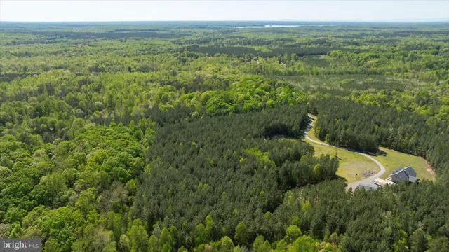 a view of a lush green forest with trees and some houses