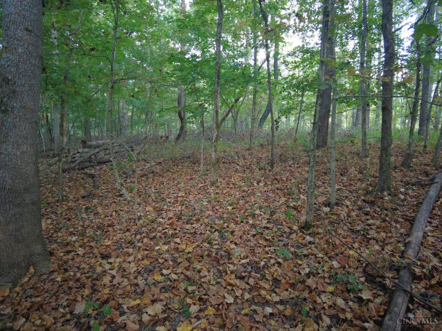 22-ac Richey Road Felicity, OH 45120 - Photo 22 of 30