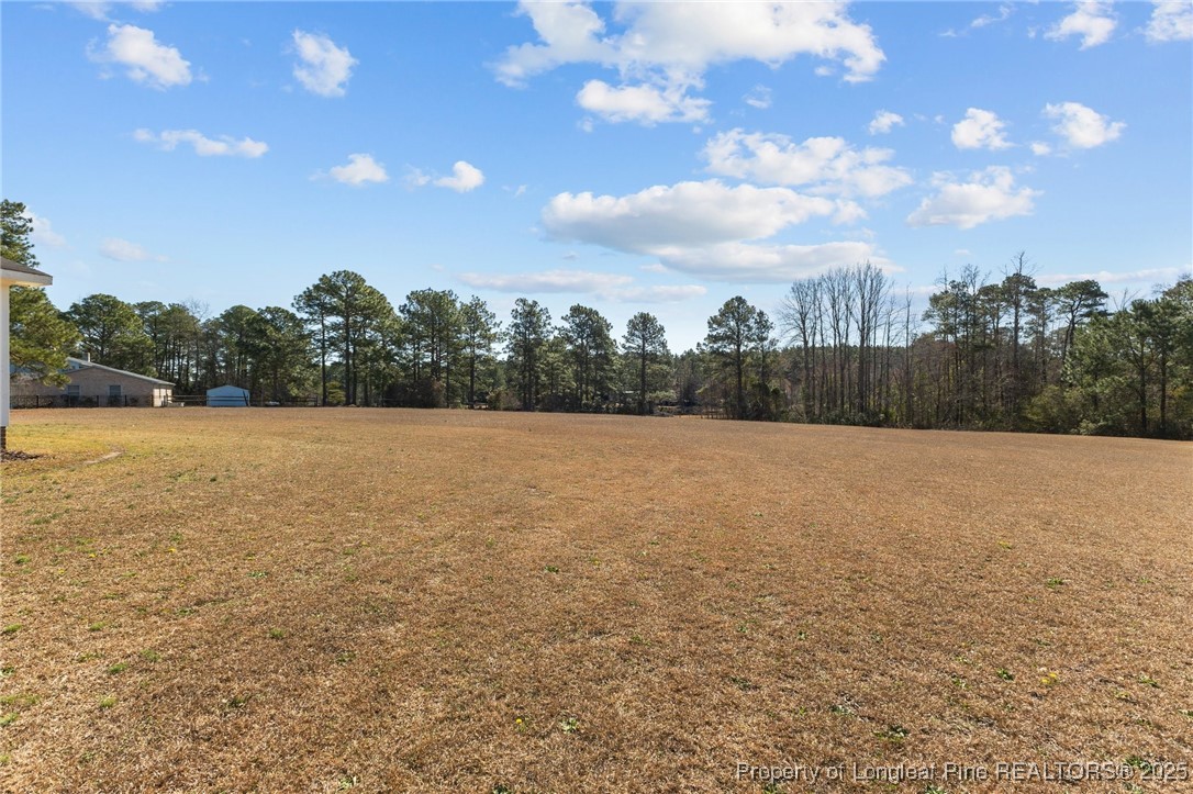 9619 Rockfish Road Raeford, NC 28376 - Photo 42 of 47 a view of a lake view