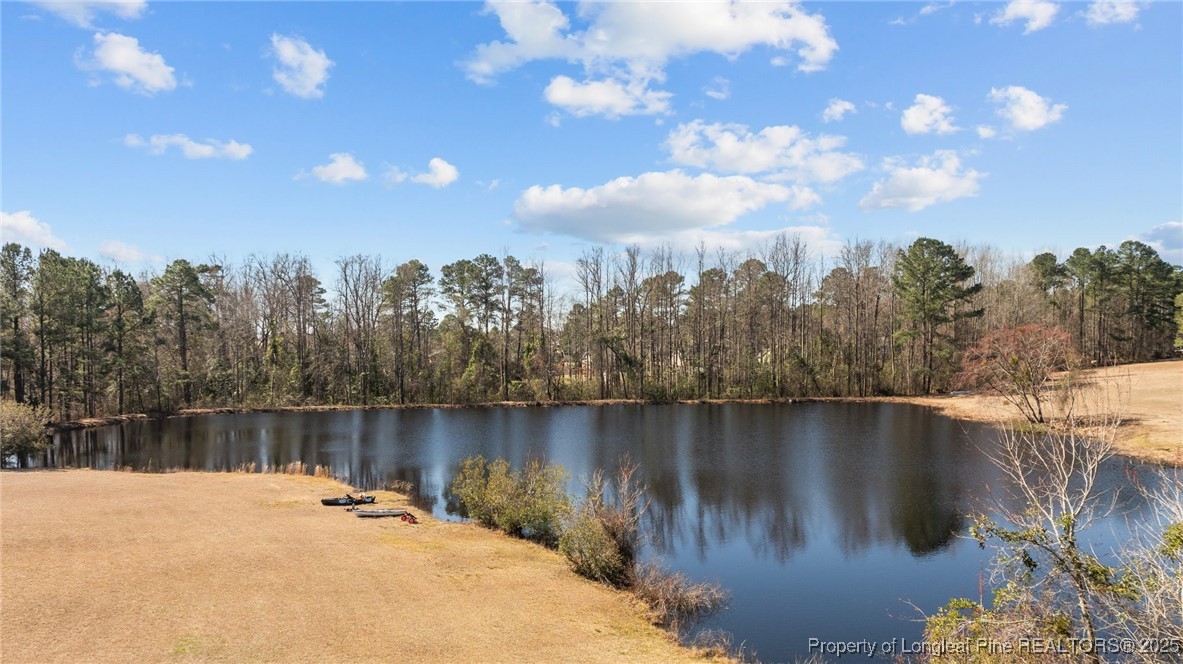 9619 Rockfish Road Raeford, NC 28376 - Photo 43 of 47 a view of a lake with a city view