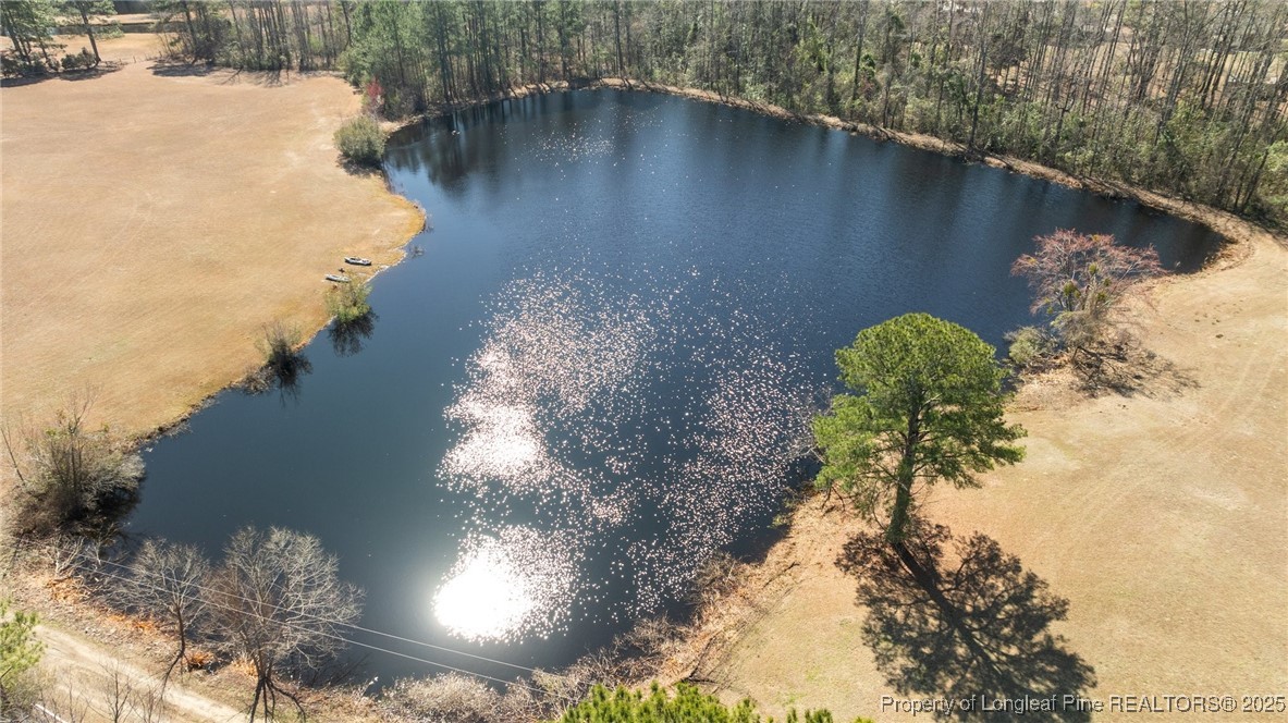 9619 Rockfish Road Raeford, NC 28376 - Photo 44 of 47 a view of a lake from a yard