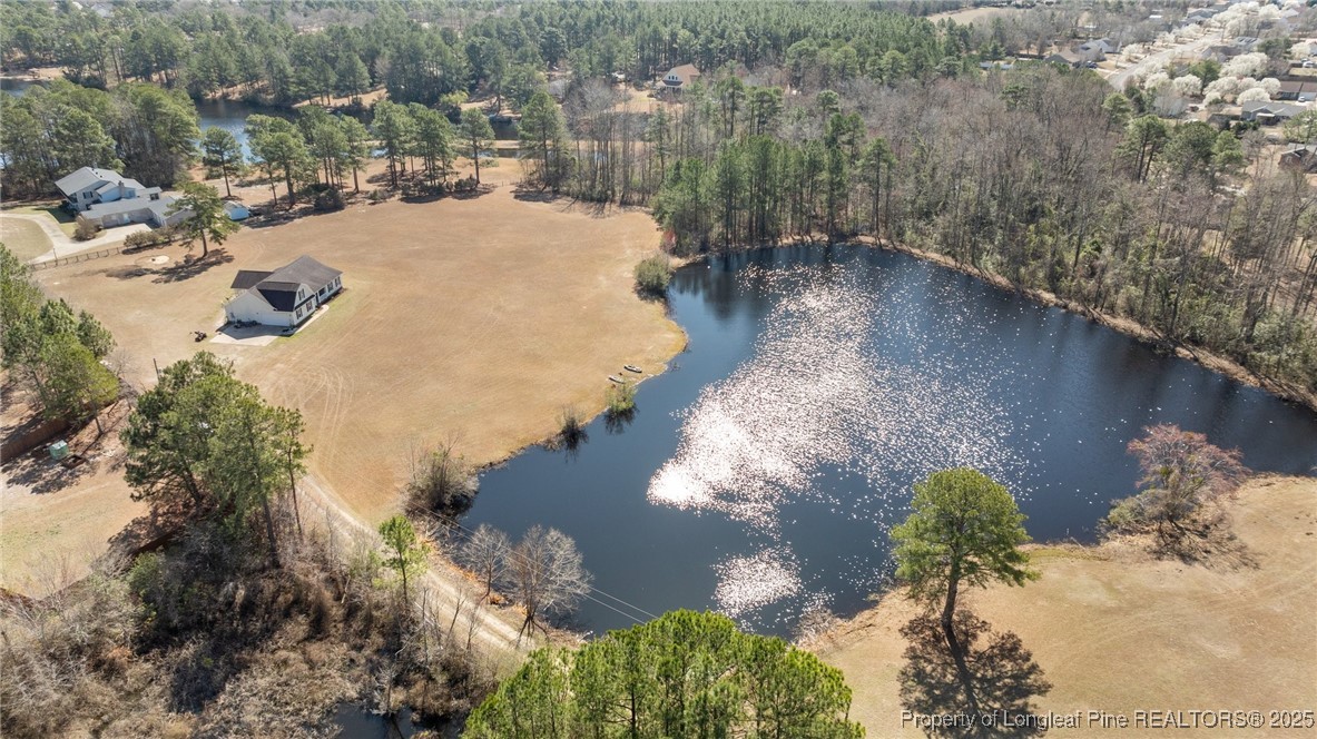 9619 Rockfish Road Raeford, NC 28376 - Photo 45 of 47 a view of a lake with mountain