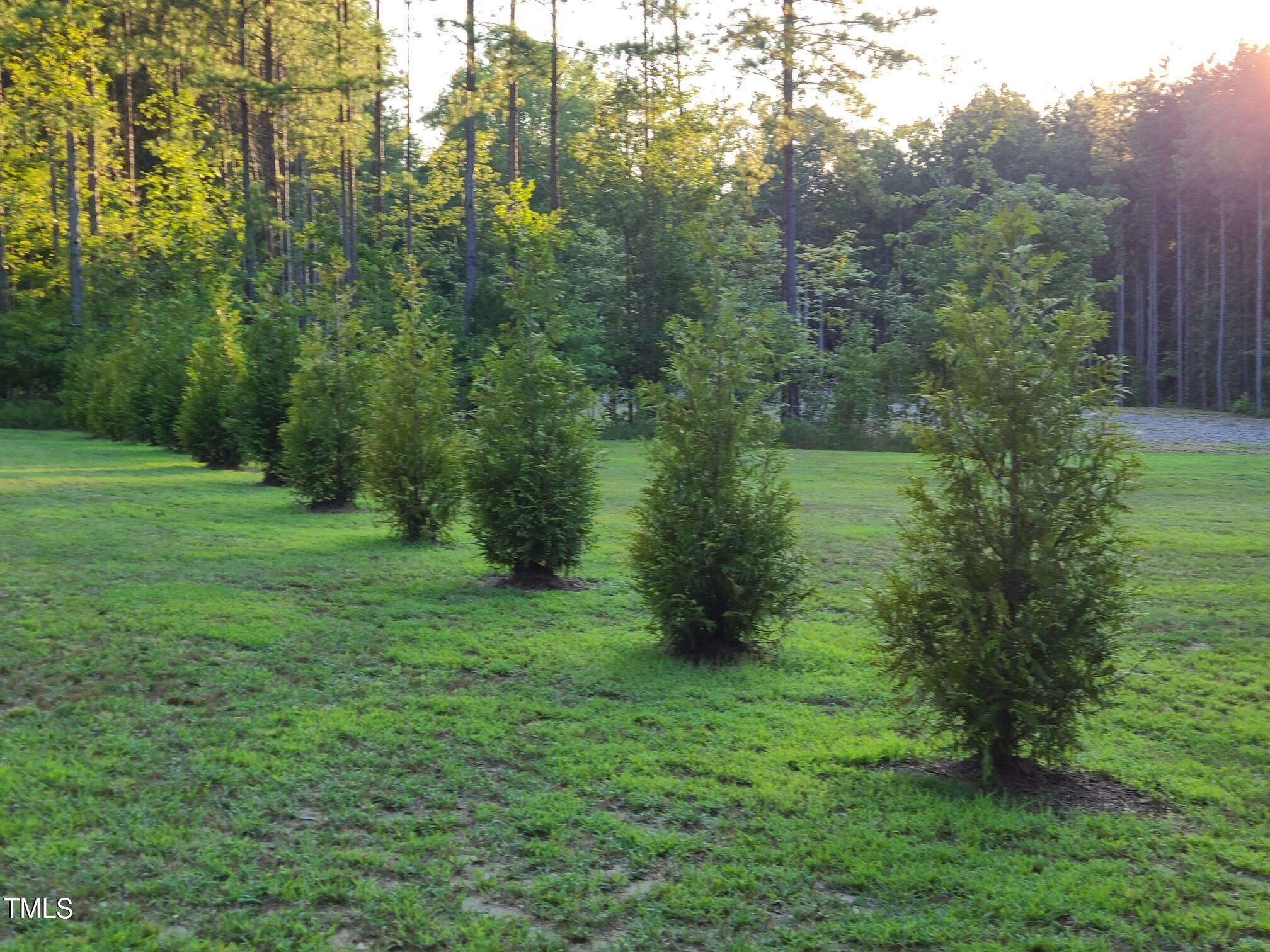 1009 Mount Pleasant Church Road Manson, NC 27553 - Photo 3 of 7 2229