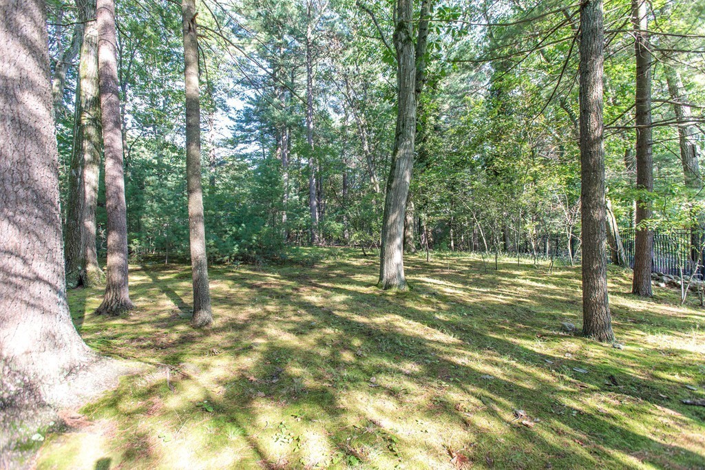 6 Columbine Road Weston, MA 02493 - Photo 21 of 22