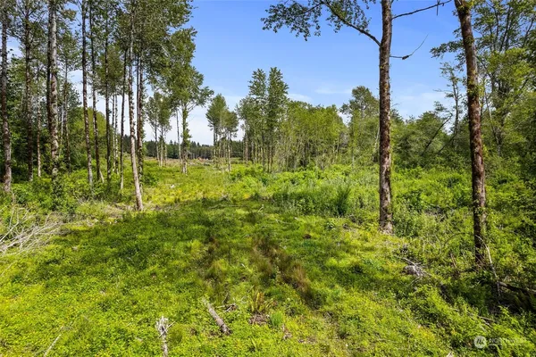 $139,900 | 70 Joy Lane, Unit LOT 7, Humptulips, WA 98552