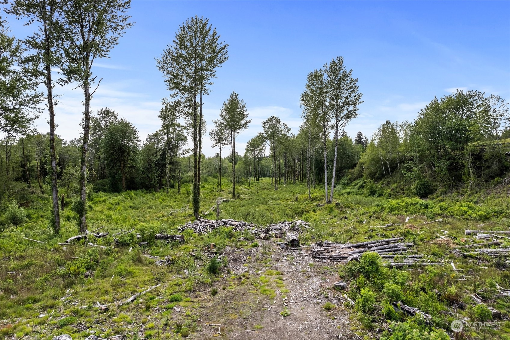 70 Joy Lane, Unit LOT 7 Humptulips, WA 98552 - Photo 20 of 23