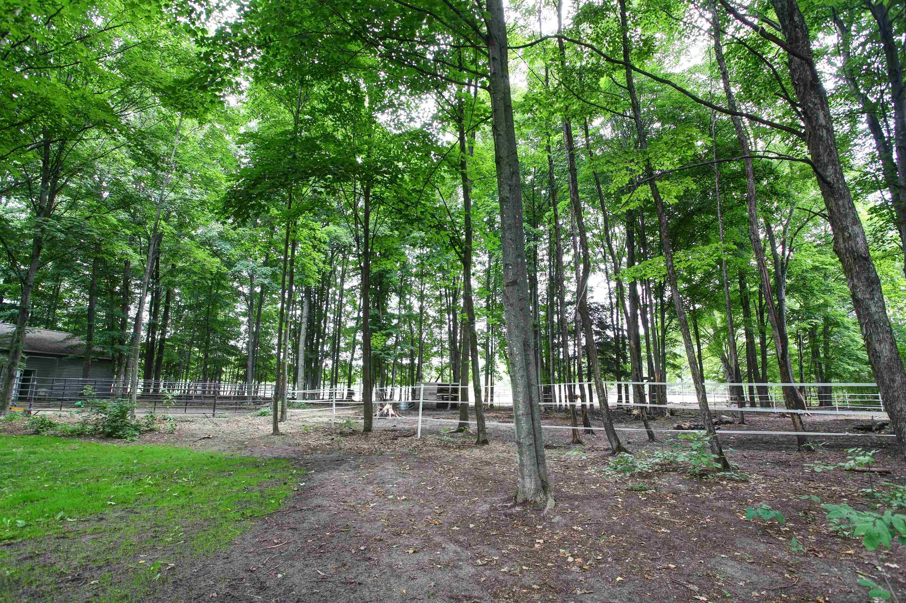 2700 North Reynolds Road Interlochen, MI 49643 - Photo 33 of 36