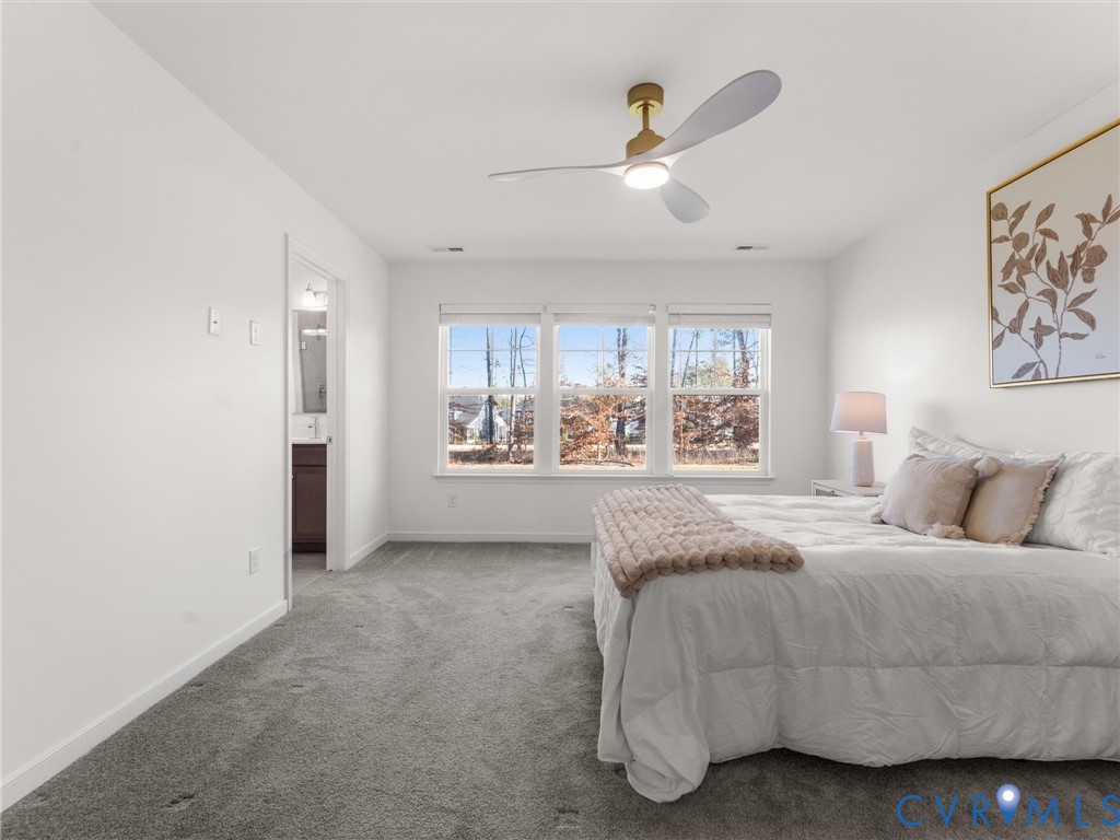 18536 Palisades Ridge Moseley, VA 23120 - Photo 22 of 37