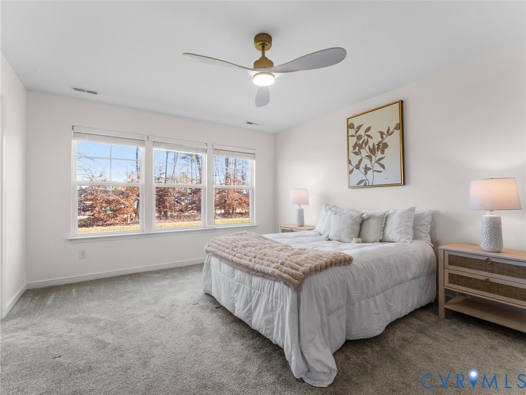 18536 Palisades Ridge Moseley, VA 23120 - Photo 6 of 37