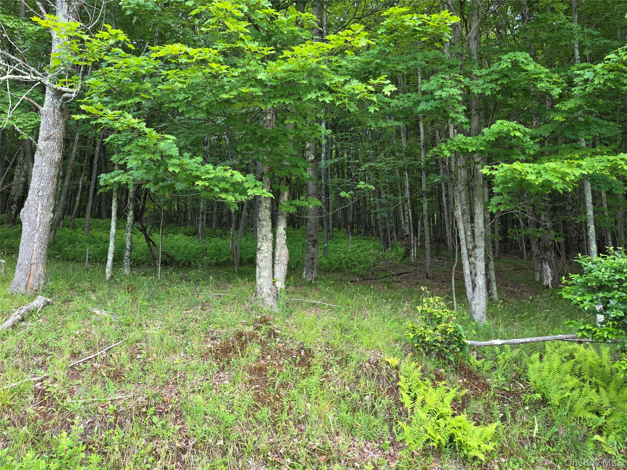 Tbd Timberwolf Road West Liberty, NY 12754 - Photo 16 of 27 Gallery Image 16