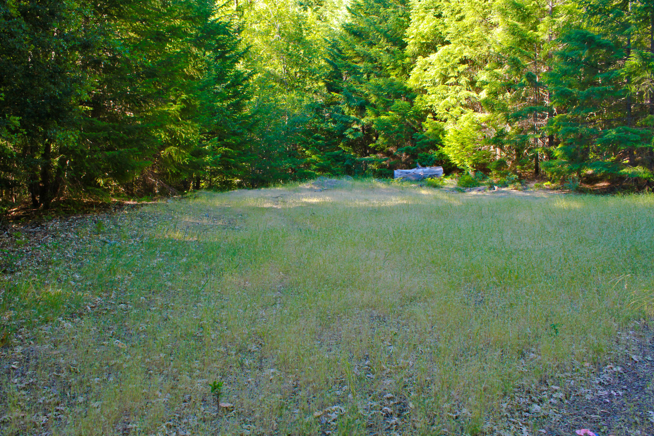 1411 Old School House Road Zenia, CA 95595 - Photo 5 of 23