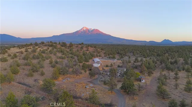 a view of a lush green hillside and a houses