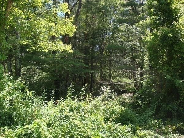 386 Wareham Street Middleboro, MA 02346 - Photo 12 of 15 a view of a garden