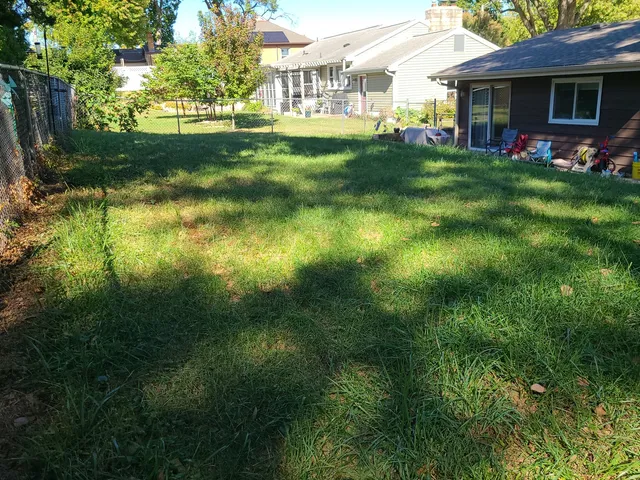 a view of backyard with plants and large trees