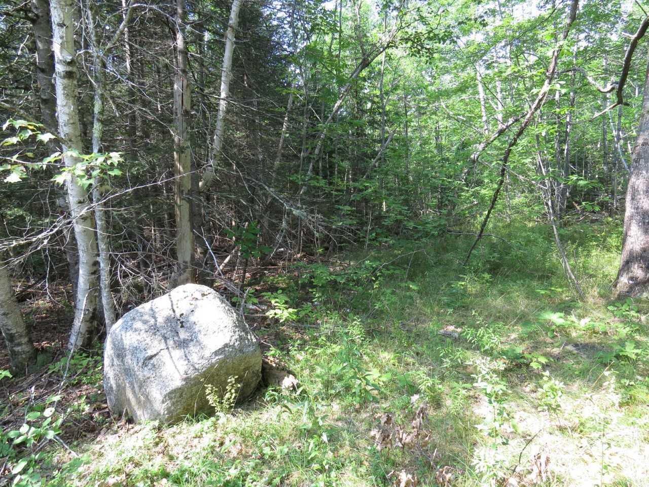 0 Waltham Road Ellsworth, ME 04605 - Photo 13 of 21 download (12)