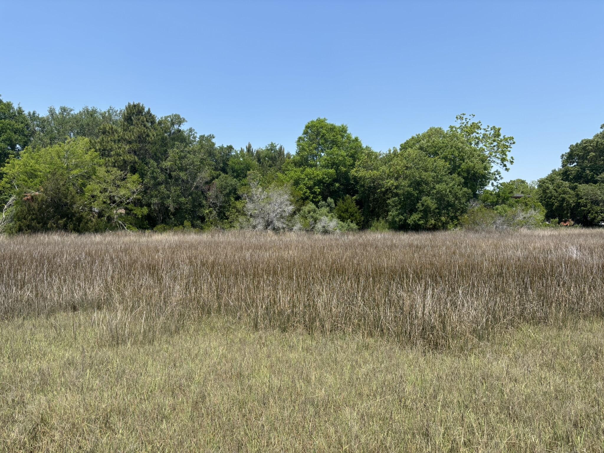 2035 Sol Legare Road Charleston, SC 29412 - Photo 11 of 26 IMG_2297
