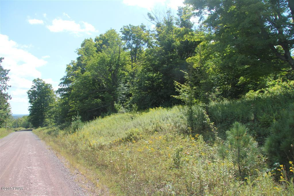 Skinner Road Honesdale, PA 18431 - Photo 10 of 10
