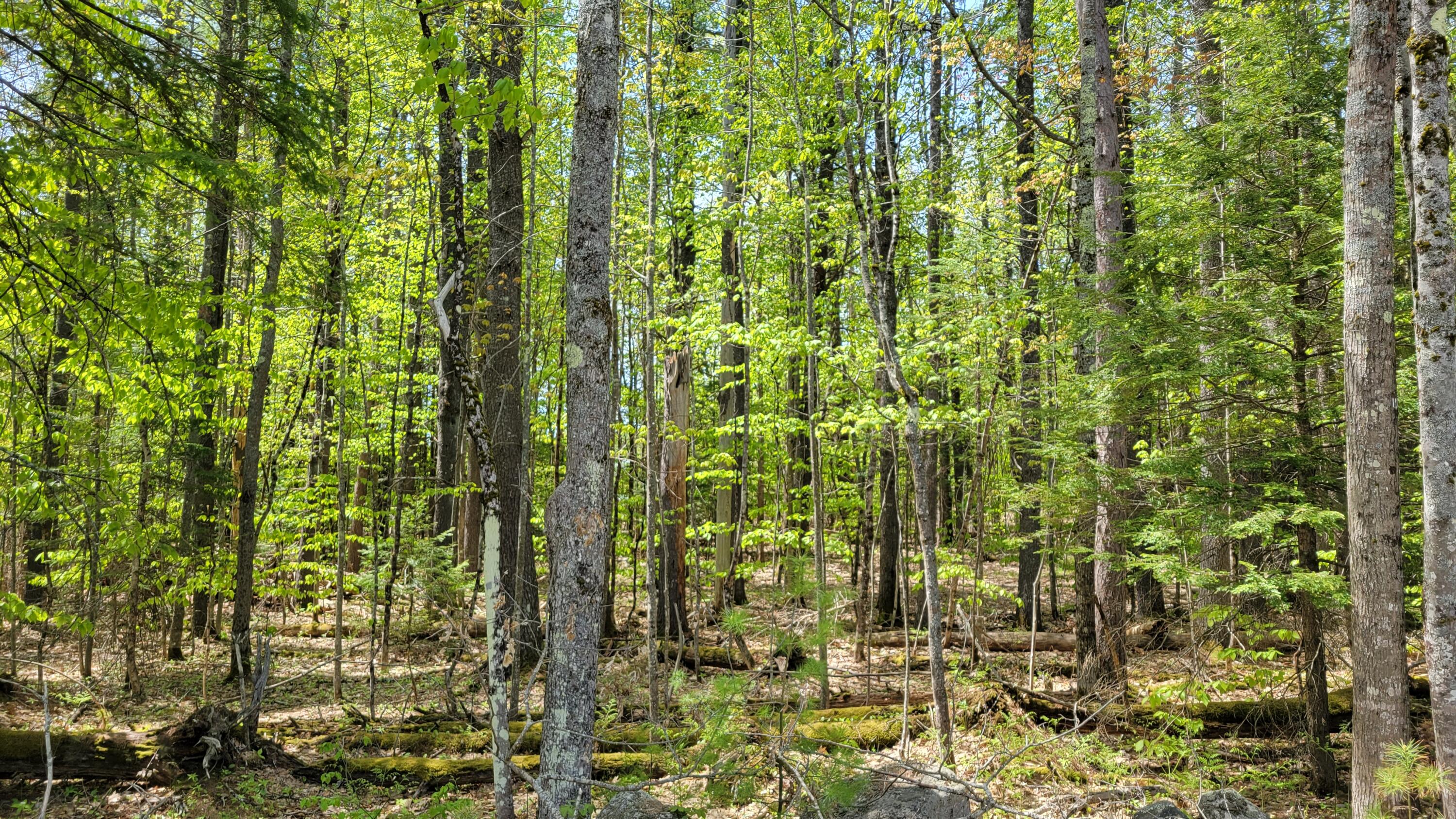 545 Naples Road Harrison, ME 04040 - Photo 14 of 25 20230518_113153