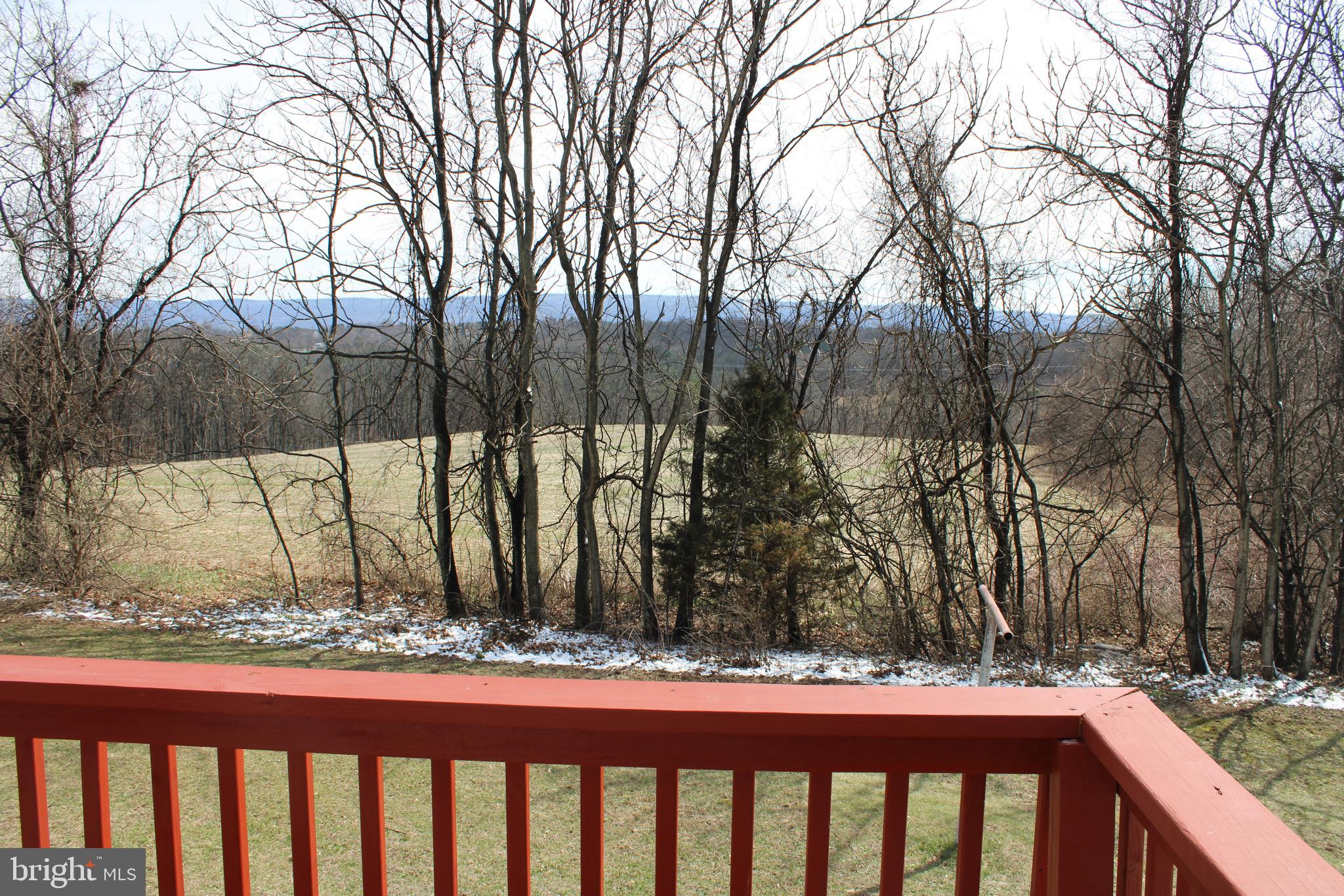 117 Basin Hill Road Duncannon, PA 17020 - Photo 9 of 34