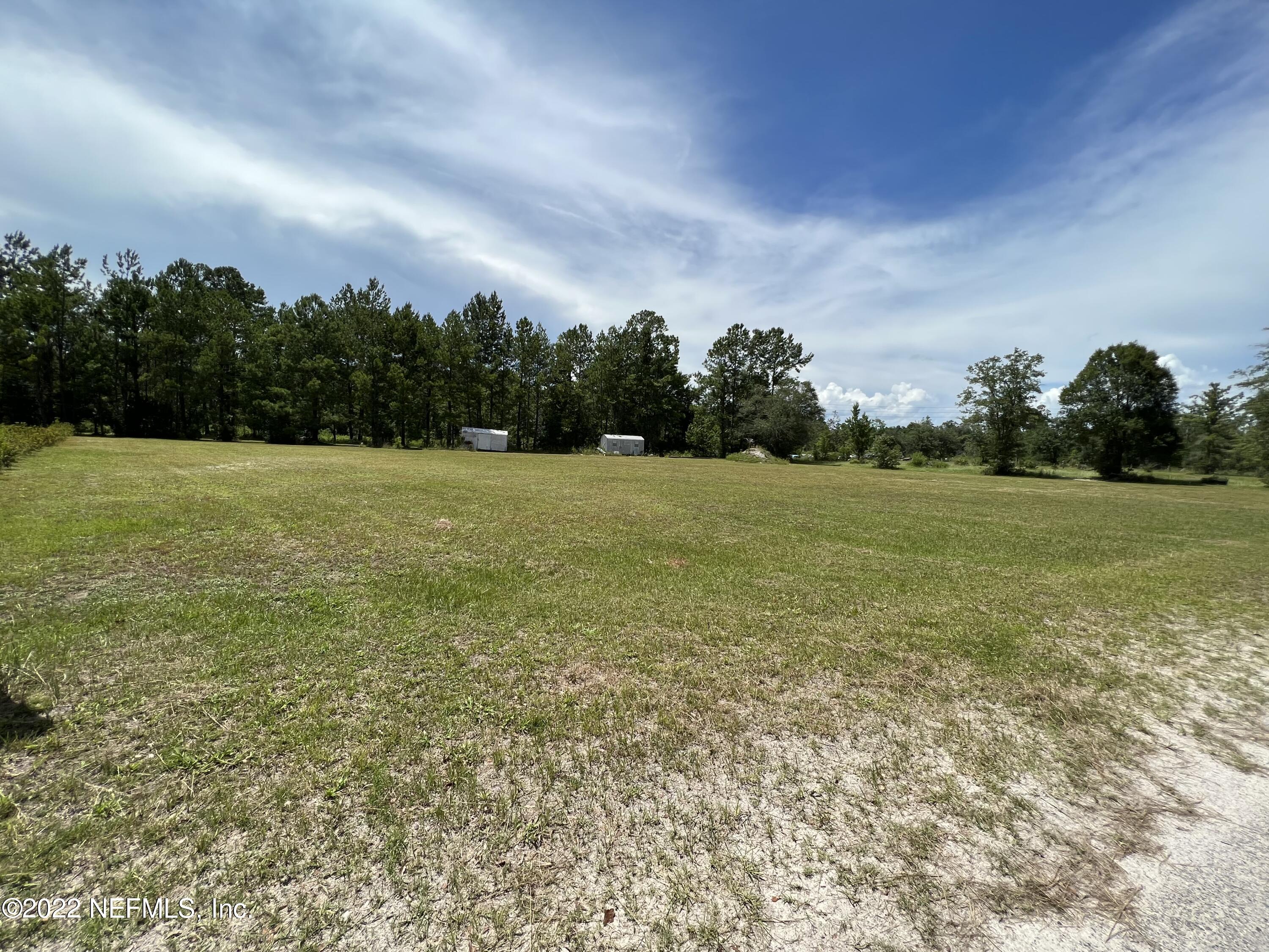 0 Brooks Road Bryceville, FL 32009 - Photo 3 of 5 a view of field with tall trees in the background