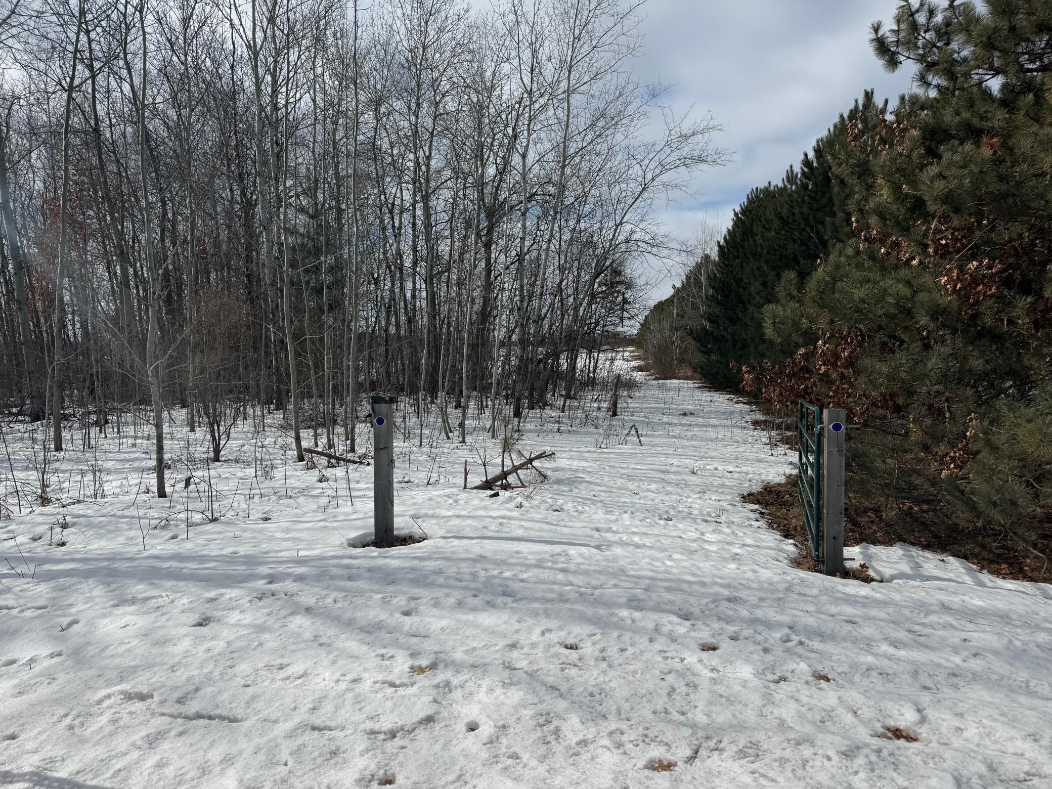 15131 Brunswick Road Pine City, MN 55063 - Photo 2 of 10