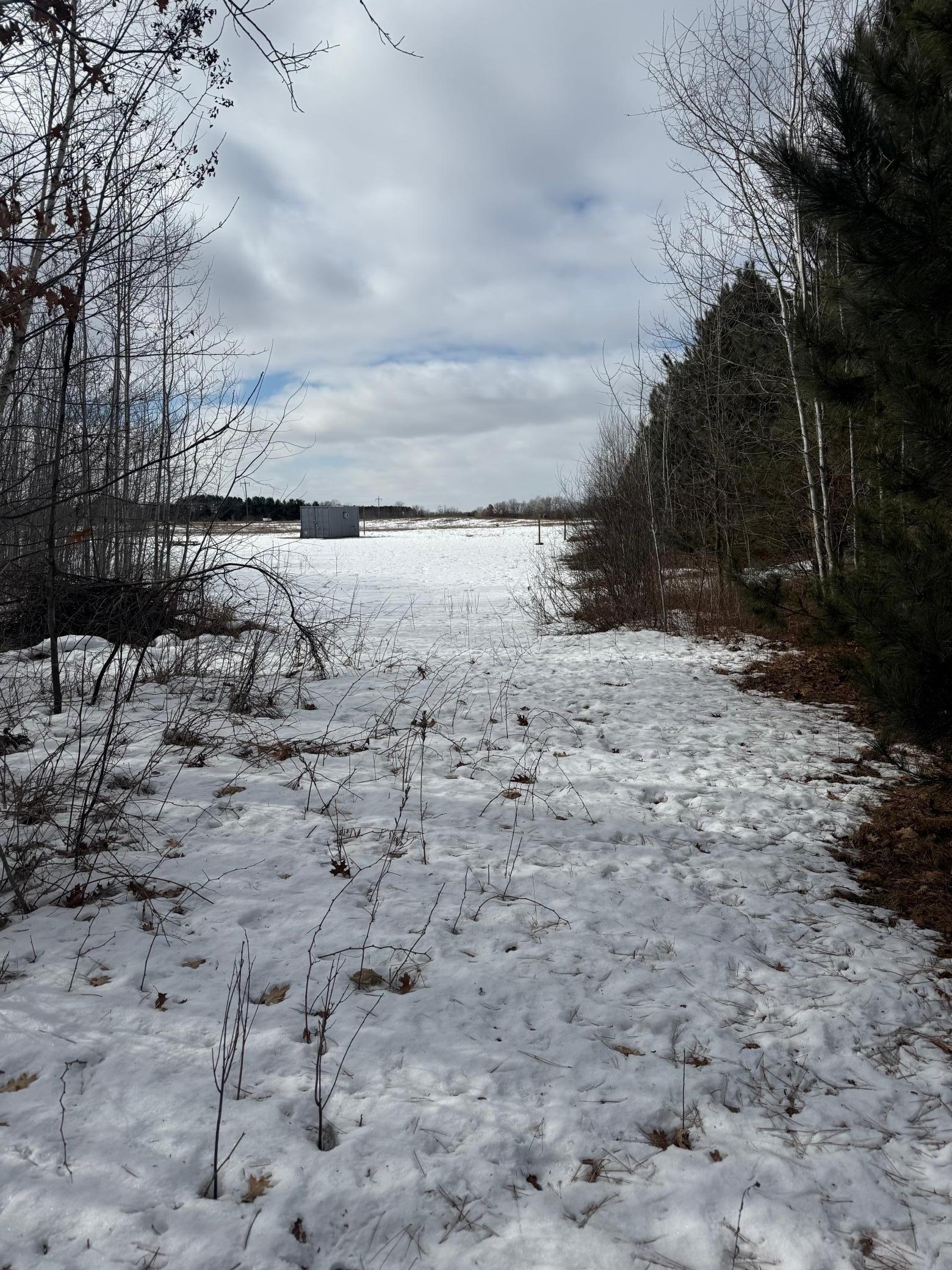 15131 Brunswick Road Pine City, MN 55063 - Photo 3 of 10