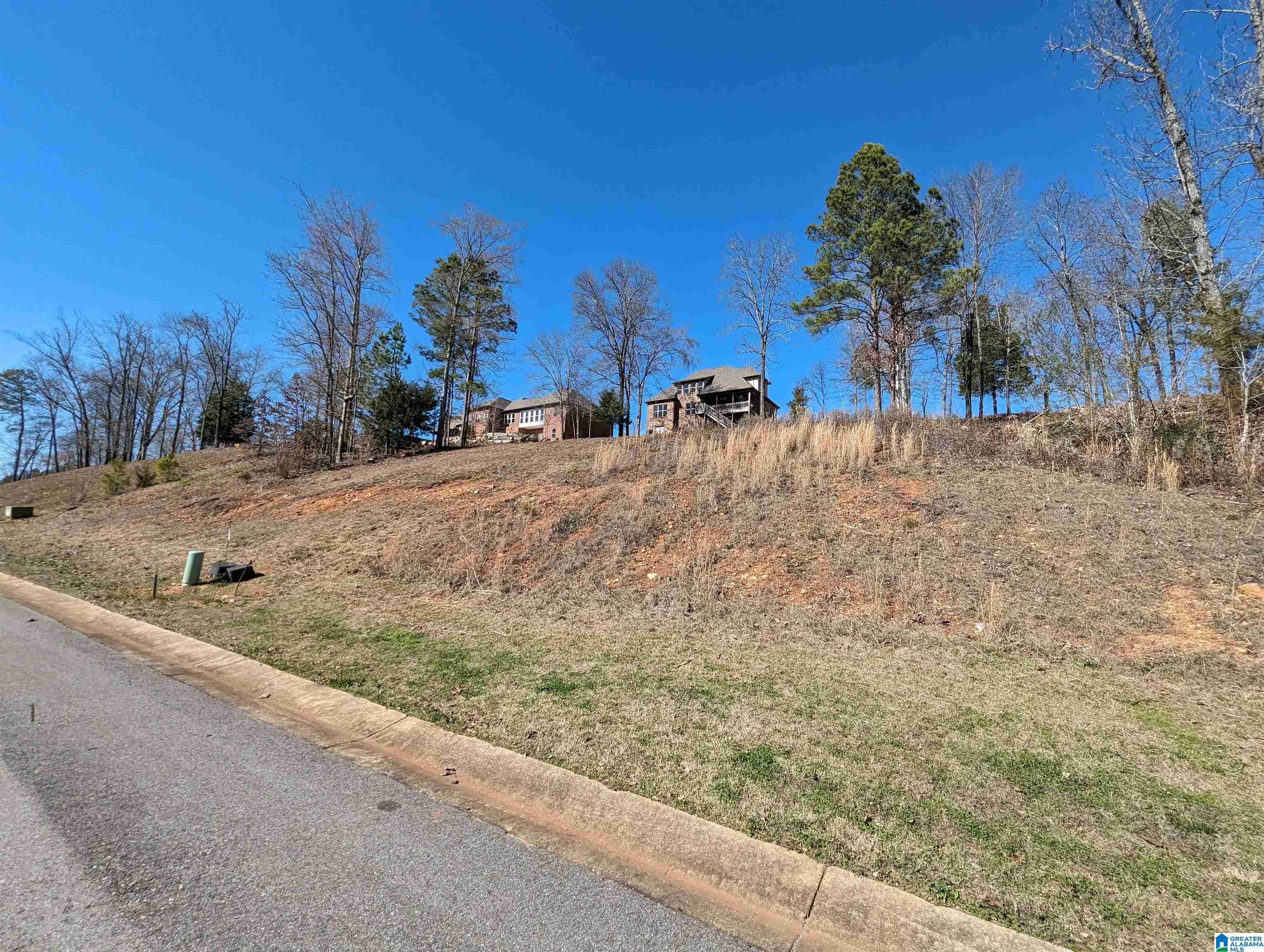 0 Overlook Ridge Lincoln, AL 35096 - Photo 20 of 33