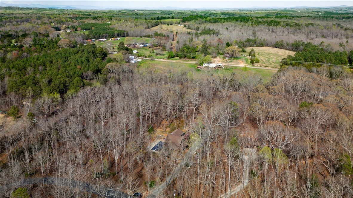 318 Todds Creek Road Central, SC 29630 - Photo 41 of 46 Gallery Image 41