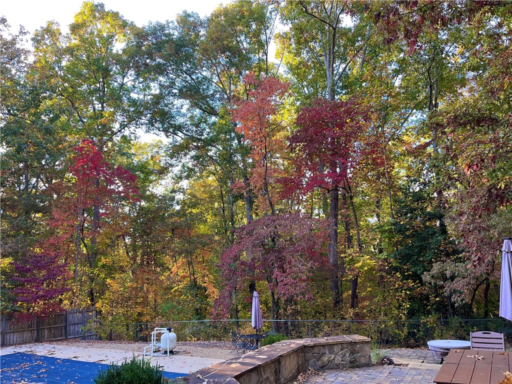 318 Todds Creek Road Central, SC 29630 - Photo 43 of 46 Fall