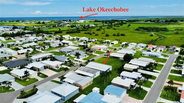 a view of a bunch of flowers in front of building