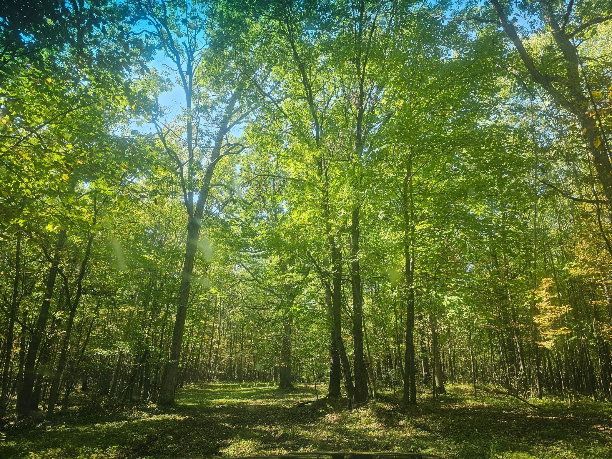 Xxx County Road H Road Danbury, WI 54830 - Photo 5 of 13