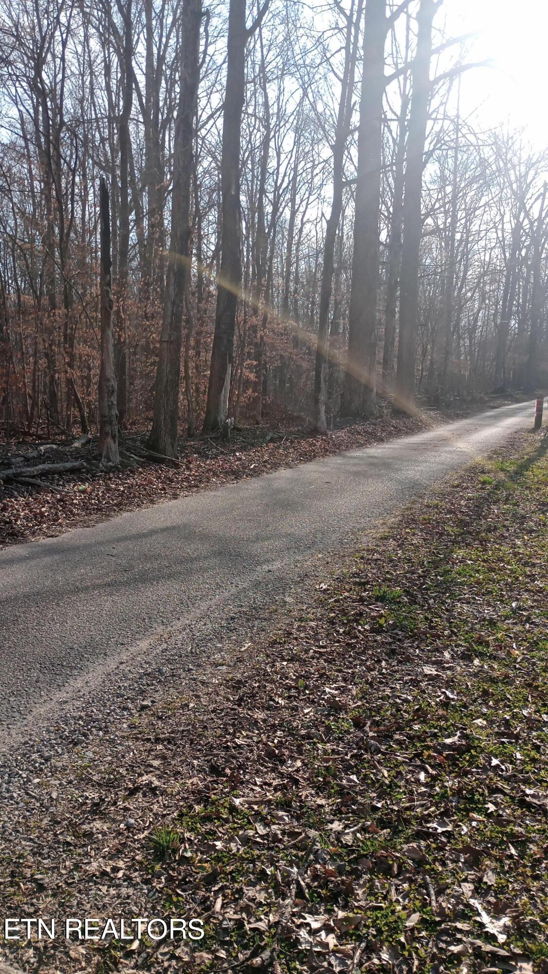 Carl Griffith Road Robbins, TN 37852 - Photo 1 of 3 IMG_20240321_172810868