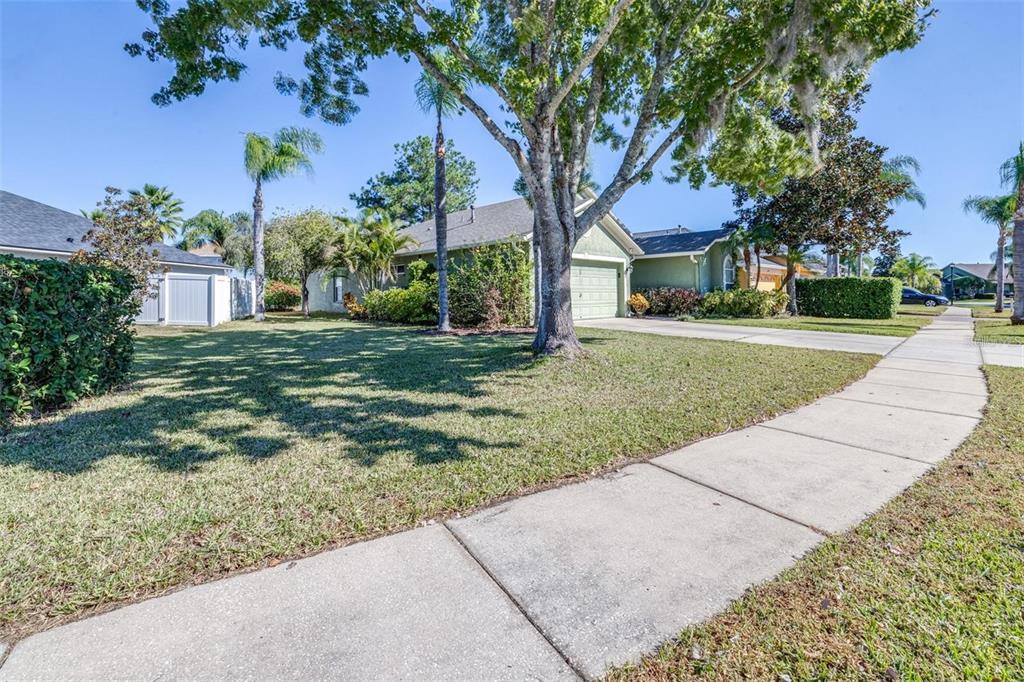 16641 Fairbolt Way Odessa, FL 33556 - Photo 38 of 53