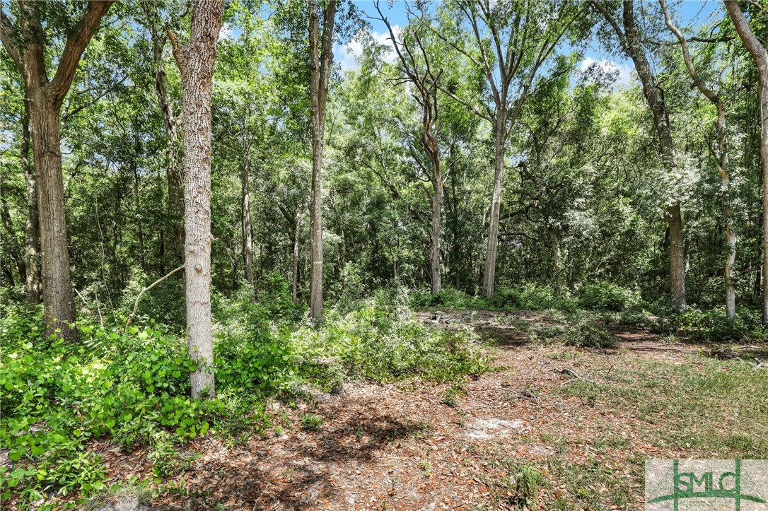 122 Oak Ridge Cemetery Road Ludowici, GA 31316 - Photo 29 of 29 0.34 Acre lot