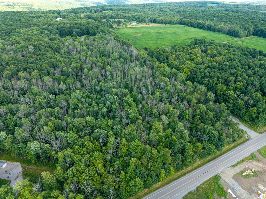 0 Stagecoach Road Conesus, NY 14435 - Photo 12 of 19 Gallery Image 12