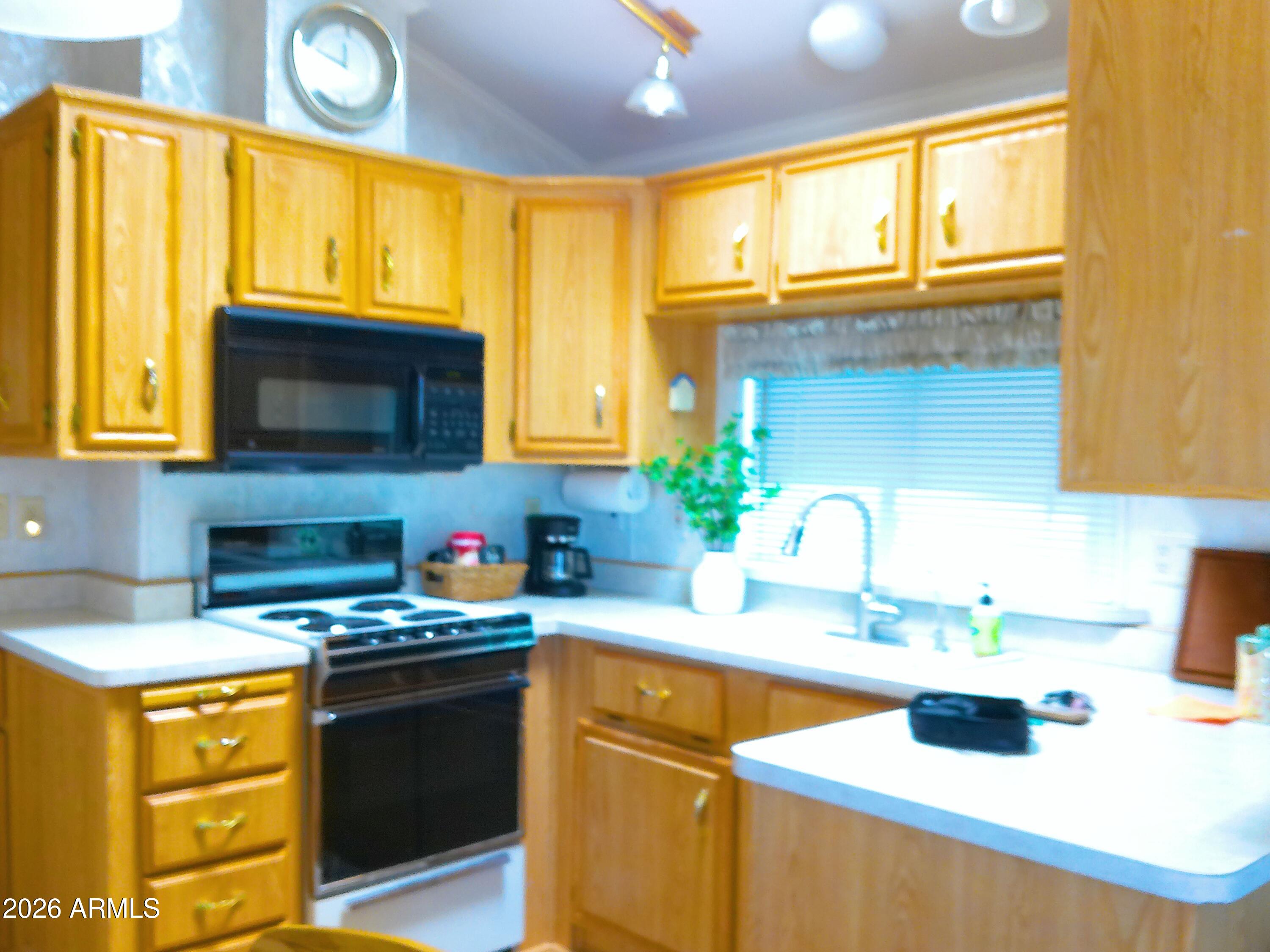 3710 South Goldfield Road Apache Junction, AZ 85119 - Photo 10 of 14 ANMP0081
