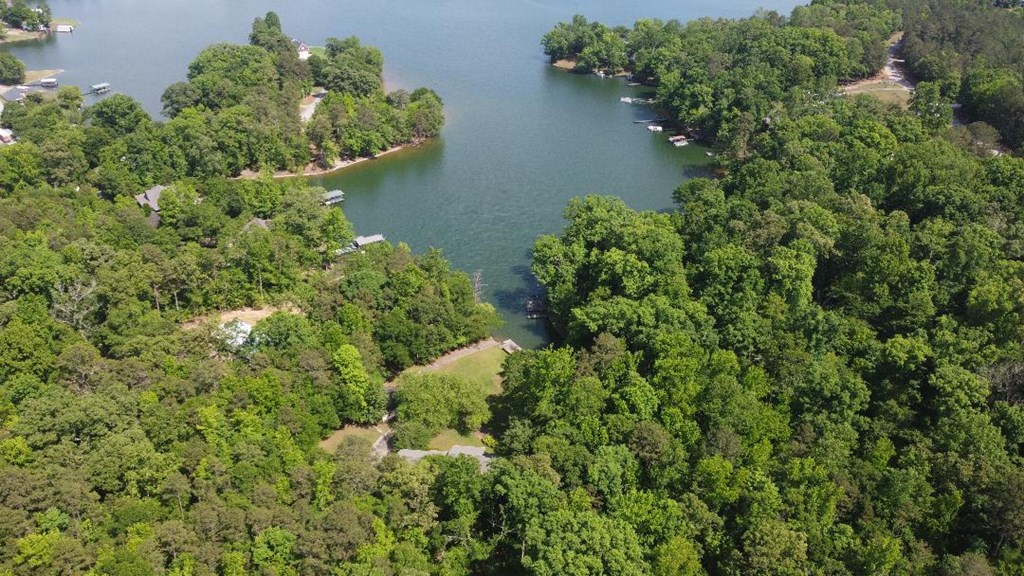 0 Lake Secession Road Iva, SC 29655 - Photo 4 of 5