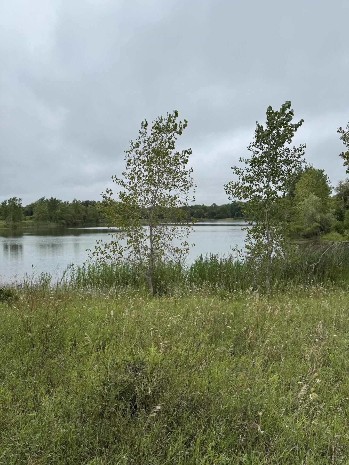 6971 North Hartel Road Potterville, MI 48876 - Photo 2 of 2 thumbnail_IMG_1698