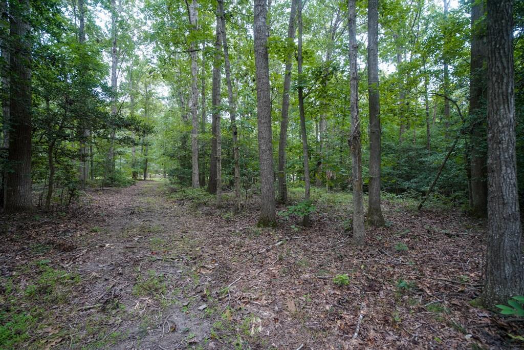 Lot 3 Branch Road, Unit 3A Temperanceville, VA 23442 - Photo 2 of 2