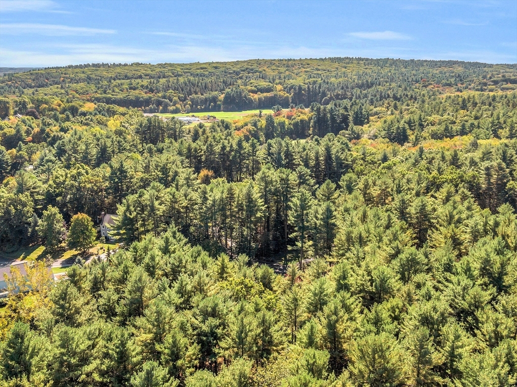 3 Brandy Hollow Littleton, MA 01460 - Photo 29 of 40 an aerial view of residential houses with outdoor space and trees