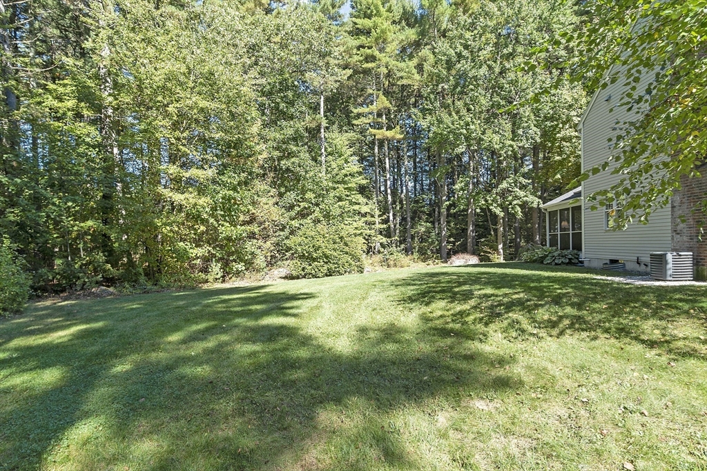 3 Brandy Hollow Littleton, MA 01460 - Photo 36 of 40 a view of a trees with a yard